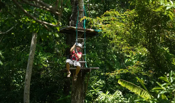 İnsanoğlu, etrafını saran kalın ormandan geçen bir ip üzerinde keyifli bir yolculuğun tadını çıkarıyor..