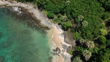 Göz kamaştırıcı bir hava manzarası, yemyeşil ağaçlar ve okyanuslarla çevrili pitoresk bir plajı sergiliyor..