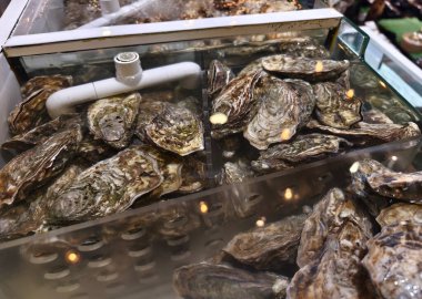 Büyük bir demet taze istiridye cam bir kabın içinde duruyor..