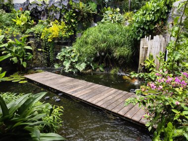 Büyüleyici bir ahşap köprü, sakin bir bahçede sakin bir gölet boyunca uzanır..