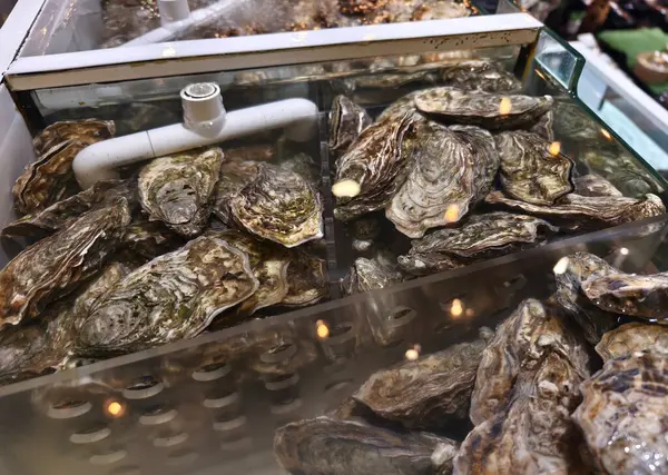 Büyük bir demet taze istiridye cam bir kabın içinde duruyor..