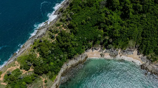 Göz kamaştırıcı bir hava manzarası, yemyeşil ağaçlar ve okyanuslarla çevrili pitoresk bir plajı sergiliyor..