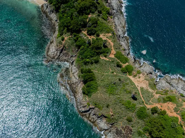 Göz kamaştırıcı bir hava manzarası, yemyeşil ağaçlar ve okyanuslarla çevrili pitoresk bir plajı sergiliyor..