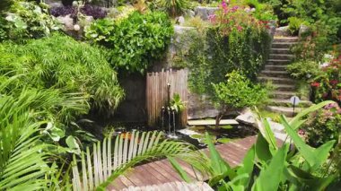 Güzel bir şelale ve zarifçe yüzen balıklarla dolu sakin bir gölet..