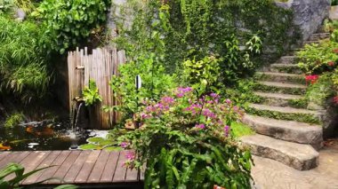 Güzel bir şelale ve zarifçe yüzen balıklarla dolu sakin bir gölet..