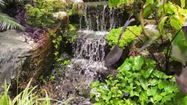 Cazibesini arttıran canlı bitkilerle ve engebeli kayalarla çevrili verimli bir bahçede zarif bir şelale.
