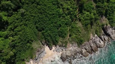 Göz kamaştırıcı bir hava manzarası, yemyeşil ağaçlar ve okyanuslarla çevrili pitoresk bir plajı sergiliyor..