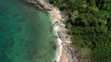 Göz kamaştırıcı bir hava manzarası, yemyeşil ağaçlar ve okyanuslarla çevrili pitoresk bir plajı sergiliyor..