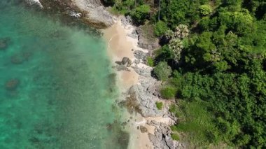 Göz kamaştırıcı bir hava manzarası, yemyeşil ağaçlar ve okyanuslarla çevrili pitoresk bir plajı sergiliyor..