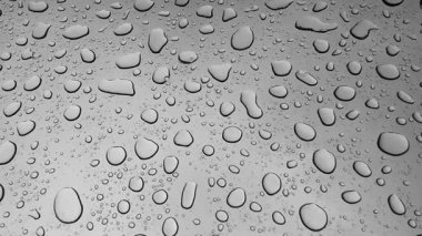 Su damlaları, güzelliklerini ve detaylarını gösteren pürüzsüz bir yüzeyde dinleniyor..