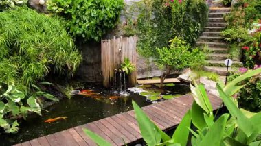 Güzel bir şelale ve zarifçe yüzen balıklarla dolu sakin bir gölet..