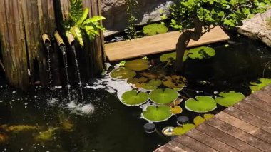 Güzel bir şelale ve zarifçe yüzen balıklarla dolu sakin bir gölet..