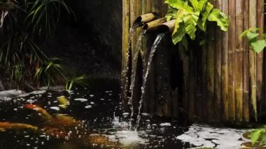 Güzel bir şelale ve zarifçe yüzen balıklarla dolu sakin bir gölet..