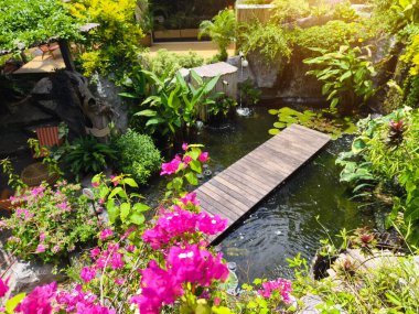 Güzel bir şelale ve zarifçe yüzen balıklarla dolu sakin bir gölet..