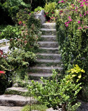 Canlı bitkiler ve çiçekler dizisi tarafından güzel tasarlanmış bir bahçede taş merdiven..