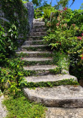 Canlı bitkiler ve çiçekler dizisi tarafından güzel tasarlanmış bir bahçede taş merdiven..