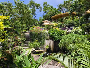 Güzel bir şelale ve zarifçe yüzen balıklarla dolu sakin bir gölet..