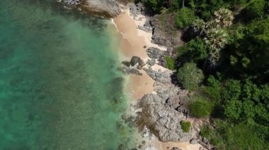 Göz kamaştırıcı bir hava manzarası, yemyeşil ağaçlar ve okyanuslarla çevrili pitoresk bir plajı sergiliyor..