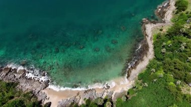 Göz kamaştırıcı bir hava manzarası, yemyeşil ağaçlar ve okyanuslarla çevrili pitoresk bir plajı sergiliyor..