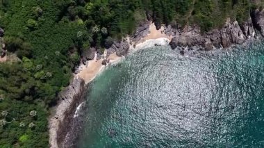 Göz kamaştırıcı bir hava manzarası, yemyeşil ağaçlar ve okyanuslarla çevrili pitoresk bir plajı sergiliyor..