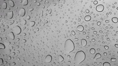 Su damlaları, güzelliklerini ve detaylarını gösteren pürüzsüz bir yüzeyde dinleniyor..