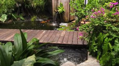 Güzel bir şelale ve zarifçe yüzen balıklarla dolu sakin bir gölet..