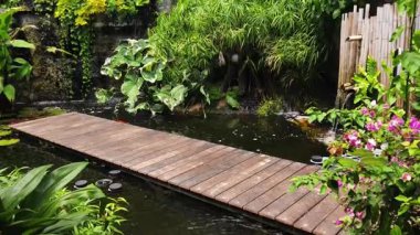 Güzel bir şelale ve zarifçe yüzen balıklarla dolu sakin bir gölet..