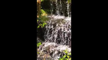 Cazibesini arttıran canlı bitkilerle ve engebeli kayalarla çevrili verimli bir bahçede zarif bir şelale.