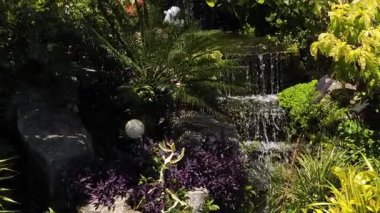 Cazibesini arttıran canlı bitkilerle ve engebeli kayalarla çevrili verimli bir bahçede zarif bir şelale.