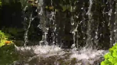 Cazibesini arttıran canlı bitkilerle ve engebeli kayalarla çevrili verimli bir bahçede zarif bir şelale.