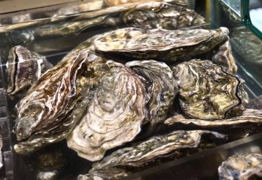 Büyük bir demet taze istiridye cam bir kabın içinde duruyor..