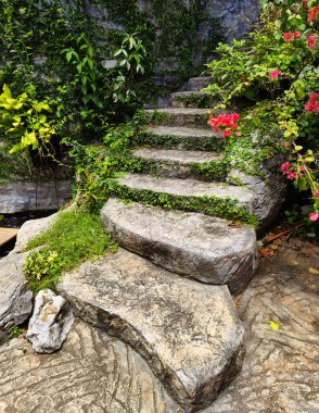 Canlı bitkiler ve çiçekler dizisi tarafından güzel tasarlanmış bir bahçede taş merdiven..