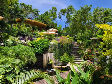 Güzel bir şelale ve zarifçe yüzen balıklarla dolu sakin bir gölet..