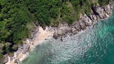 Göz kamaştırıcı bir hava manzarası, yemyeşil ağaçlar ve okyanuslarla çevrili pitoresk bir plajı sergiliyor..