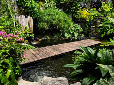 Büyüleyici bir ahşap köprü, sakin bir bahçede sakin bir gölet boyunca uzanır..