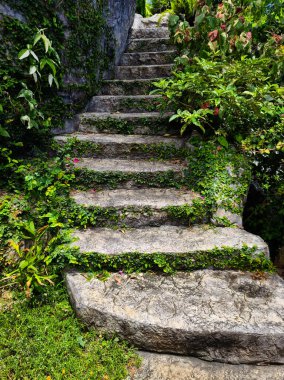 Canlı bitkiler ve çiçekler dizisi tarafından güzel tasarlanmış bir bahçede taş merdiven..