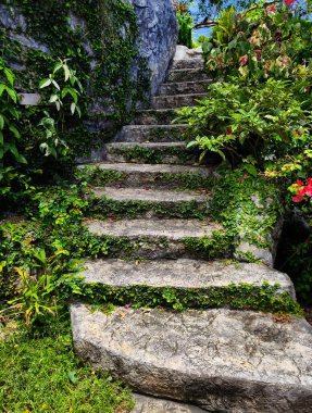 Canlı bitkiler ve çiçekler dizisi tarafından güzel tasarlanmış bir bahçede taş merdiven..