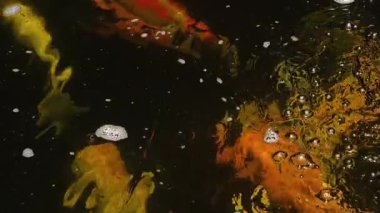 Canlı renkli bir balık grubu zarif bir şekilde dingin bir gölette yüzüyor..