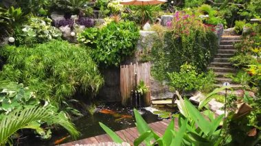 Güzel bir şelale ve zarifçe yüzen balıklarla dolu sakin bir gölet..