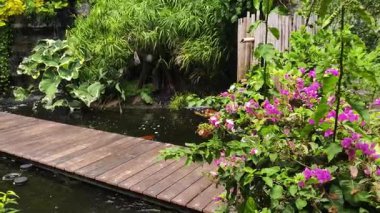 Güzel bir şelale ve zarifçe yüzen balıklarla dolu sakin bir gölet..