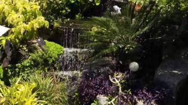 Cazibesini arttıran canlı bitkilerle ve engebeli kayalarla çevrili verimli bir bahçede zarif bir şelale.