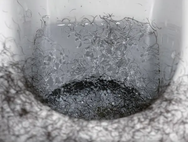 Tıraş makinesiyle kesilmiş saçlarla dolu bir klozet..