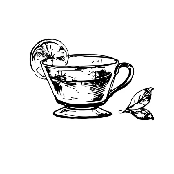 一杯茶与薄荷糖和莱姆 手绘茶的素描 涂鸦纲要 醋热饮料 — 图库矢量图片