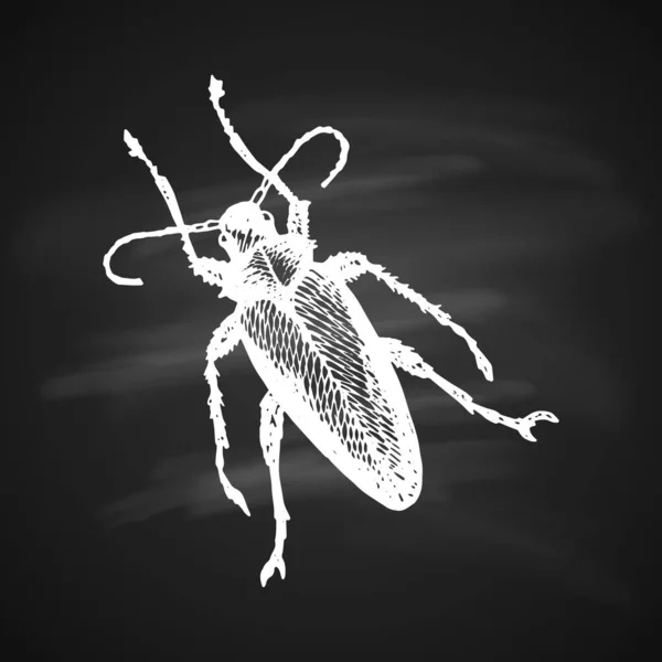 Longhorn Beetle Icon Schilderde Een Witte Gelpen Zwarte Achtergrond — Stockvector