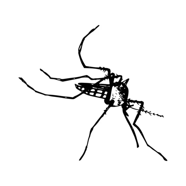 Black Silhouette Mosquito White Background — Stock Vector