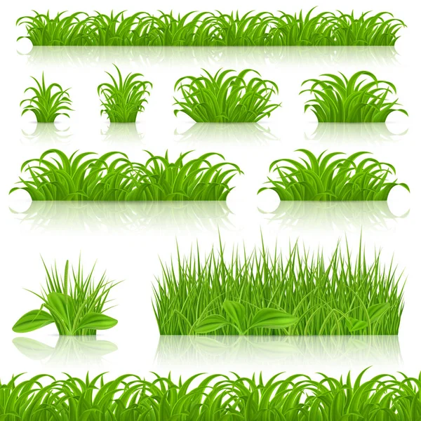 Big Grass Borders Set Isolated White Background — Stock Vector