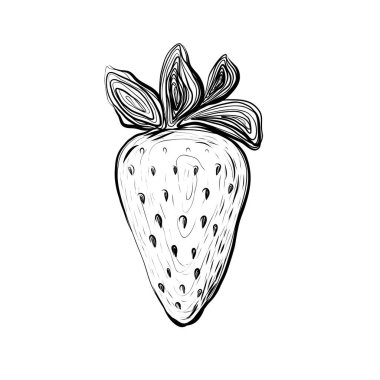 Strawberry 'nin Sketch Illustration' ı. Beyaz Arkaplanda El Çizimi Simgesi