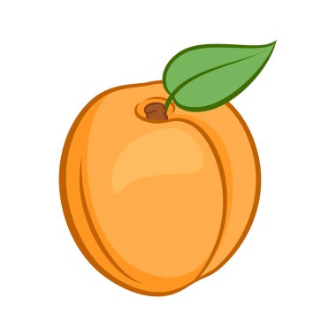 Sulu Yapraklı Kayısı Meyvesi 'nin tasviri. Beyaz bir arkaplanda izole edilmiş Gıda Uygulamaları Simgesi