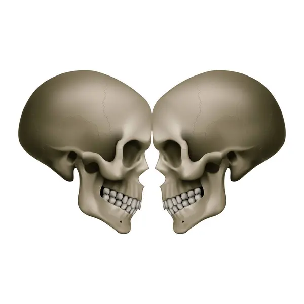 Crânios Humanos Com Efeitos Espelhos Ilustração Para Medicina Ciência Para Ilustração De Bancos De Imagens
