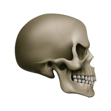 Şeytani İnsan Kafatası. Beyaz Arkaplanda Oyun Tasarımı Çizimi